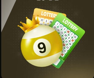 金刚体育官网网址